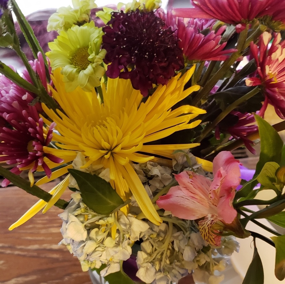 Meet your Posher, The Mrs.